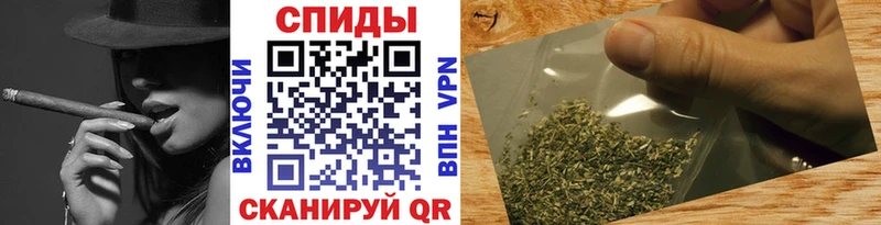 Бутират буратино  Куровское 
