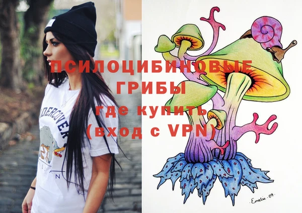 дурь Кулебаки