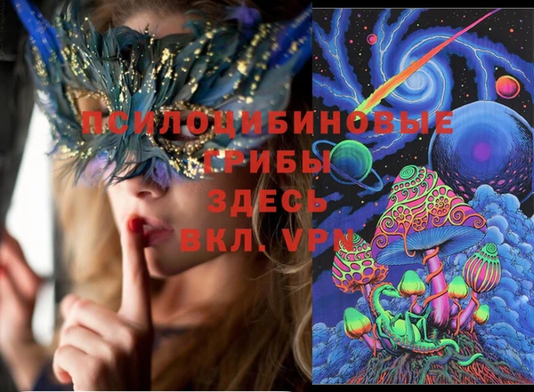 дурь Кулебаки