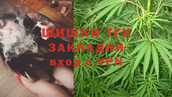 дурь Ладушкин