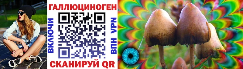 Галлюциногенные грибы Psilocybe  mega зеркало  Куровское 