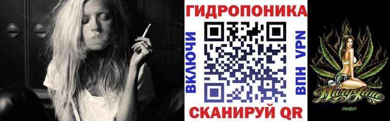 цена наркотик  Куровское  Бошки Шишки план 